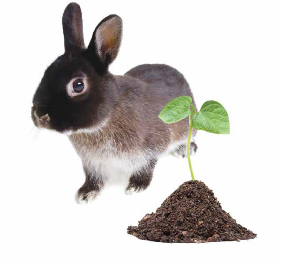 LFastDNA SPIN Kit for Plant and Animal Tissue